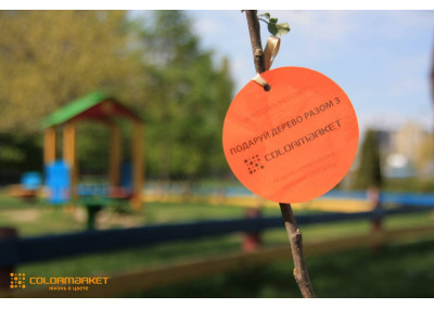 Посади дерево вместе с Colormarket